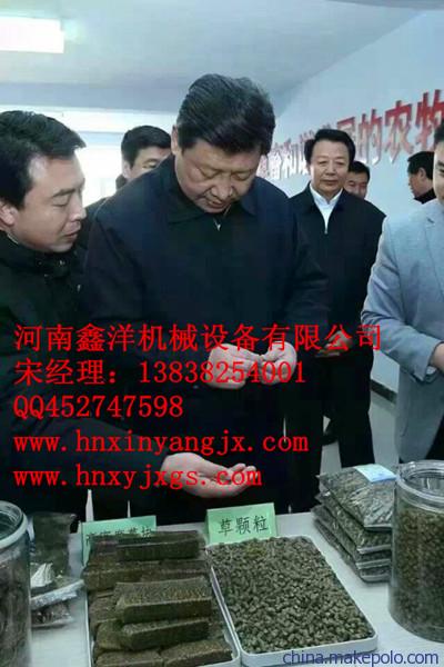 习主席推荐的压块机