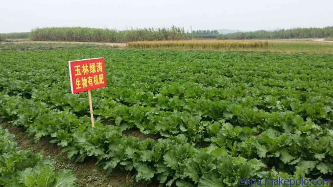 深圳微生物有机肥，专供出口微生物肥料